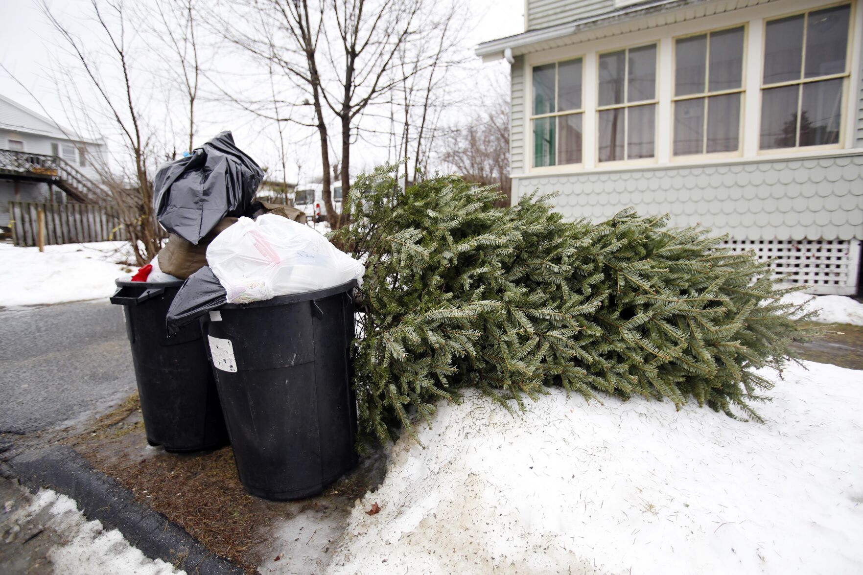Christmas tree with curbside trash